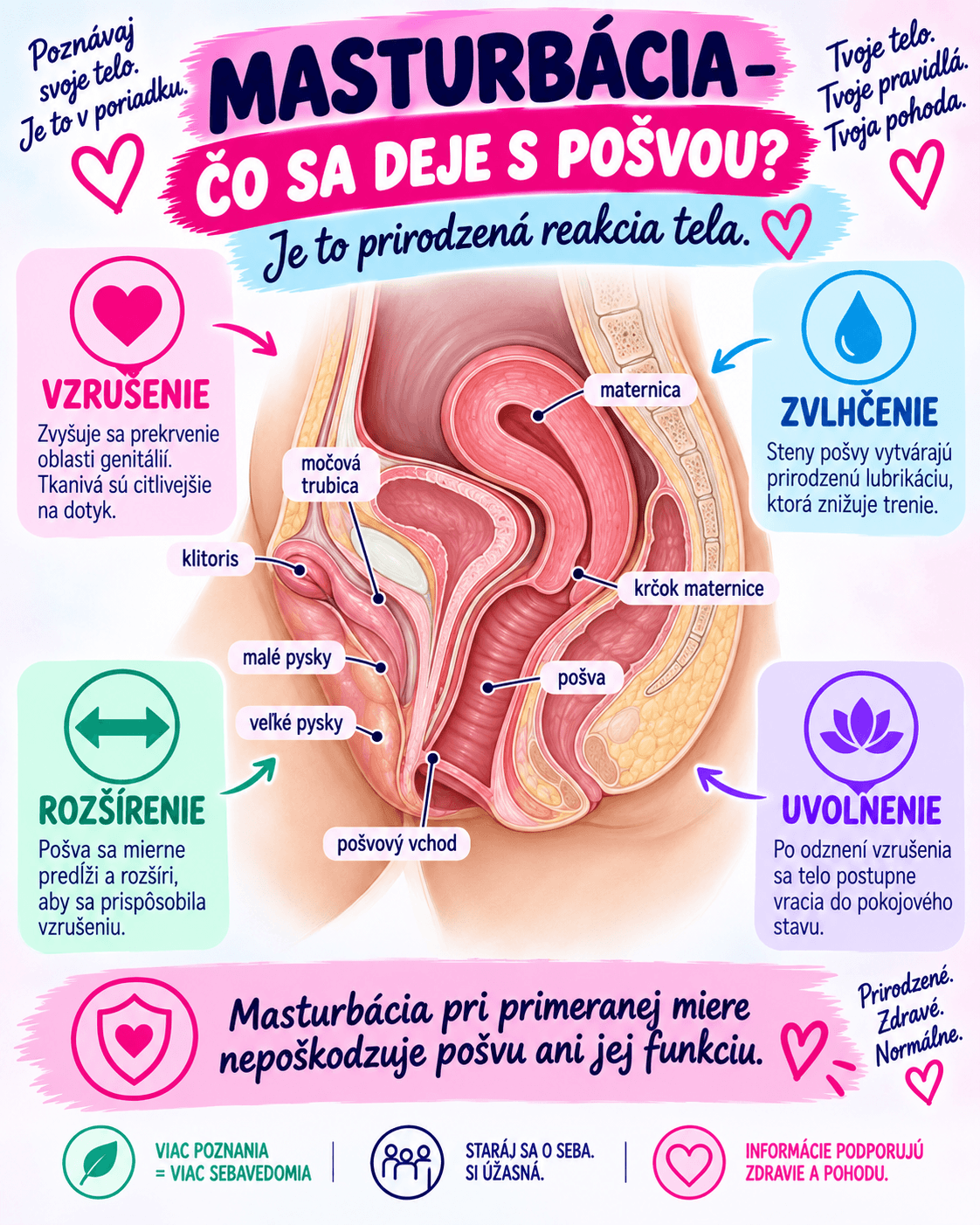 Pri sexuálnom vzrušení sa zvyšuje prekrvenie genitálií, pošva sa prirodzene zvlhčuje a mierne sa predlžuje a rozširuje. Po odznení vzrušenia sa postupne vracia do pokojového stavu.