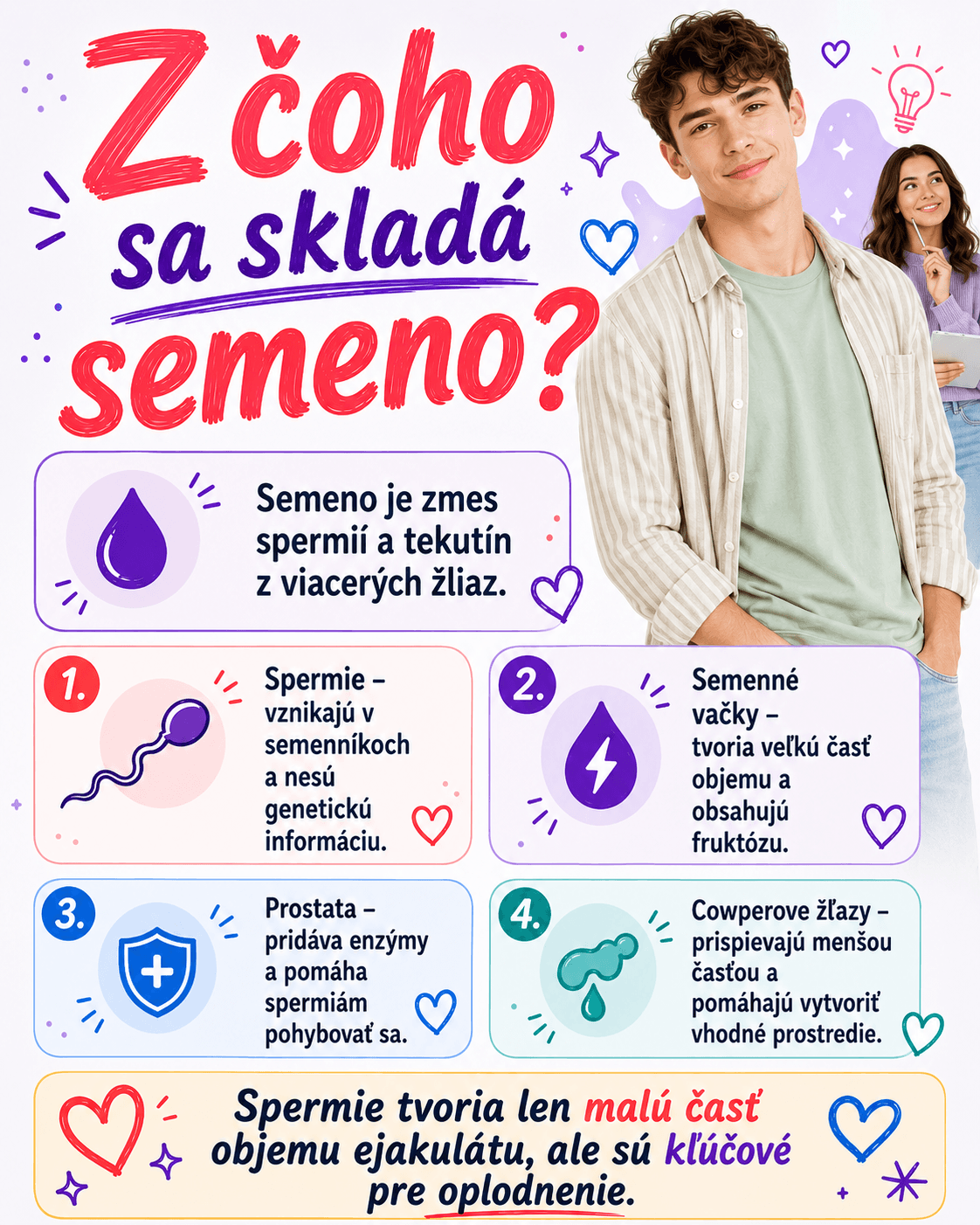 Semeno sa skladá zo spermií a tekutín zo semenných vačkov, prostaty a ďalších žliaz. Spermie tvoria len malú časť objemu, ale sú kľúčové pre oplodnenie.