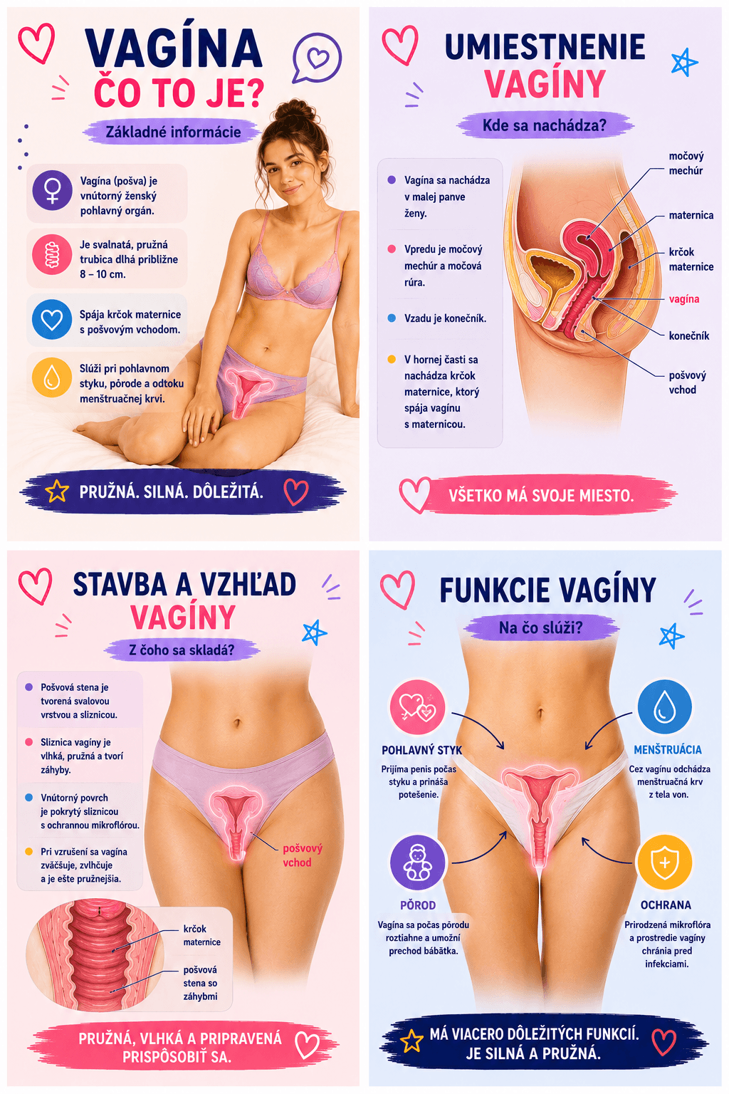 Vagína je pružný vnútorný ženský pohlavný orgán, ktorý spája krčok maternice s pošvovým vchodom a slúži pri pohlavnom styku, pôrode aj odtoku menštruačnej krvi.