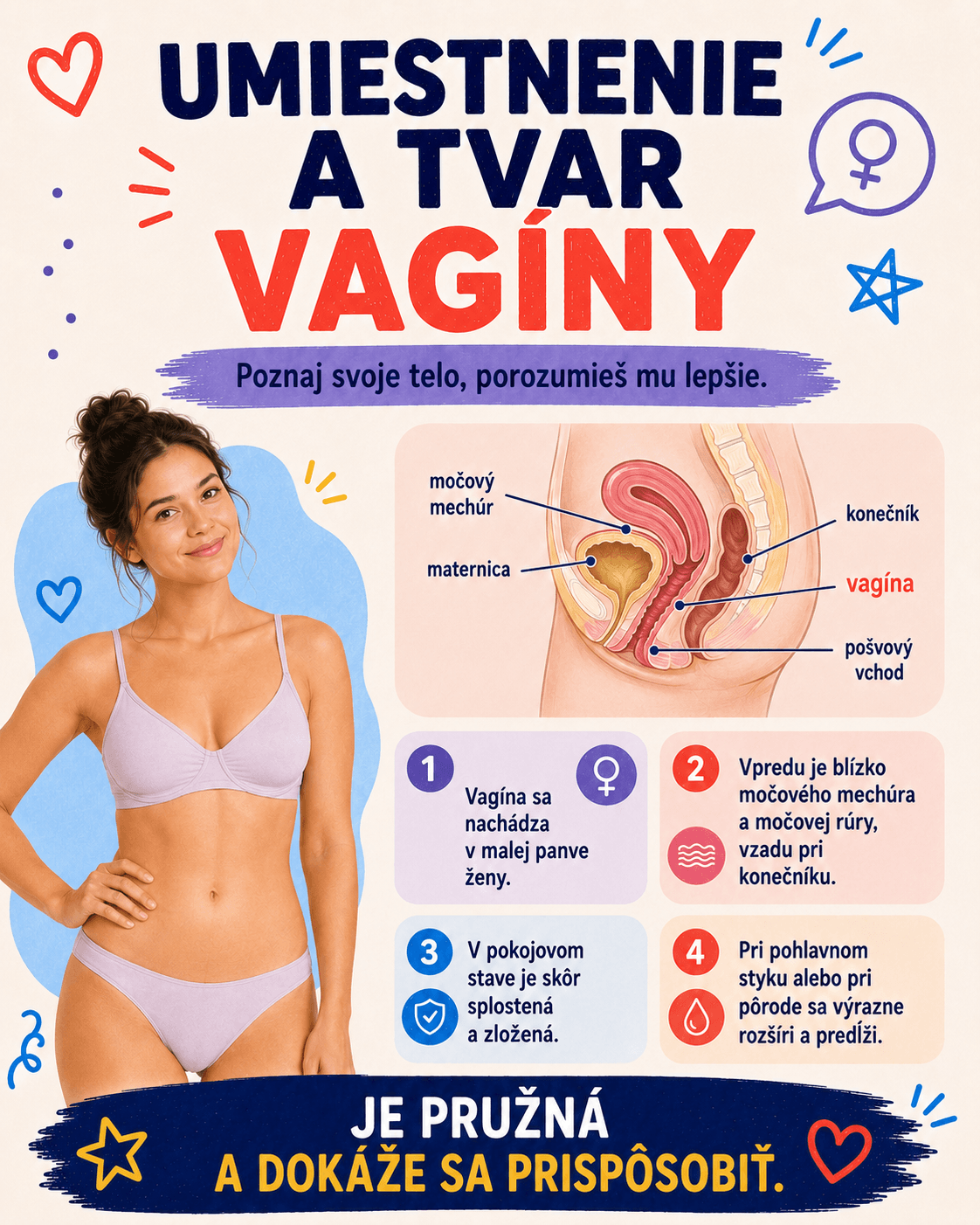 Vagína sa nachádza v malej panve medzi močovým mechúrom a konečníkom a vďaka svojej pružnosti sa dokáže výrazne prispôsobiť.