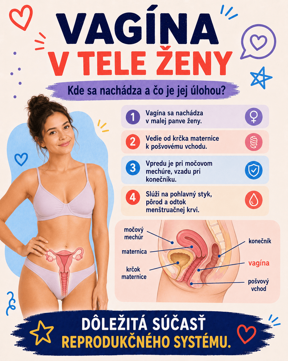 Vagína je pružný vnútorný ženský pohlavný orgán, ktorý spája krčok maternice s pošvovým vchodom a plní viacero dôležitých funkcií.