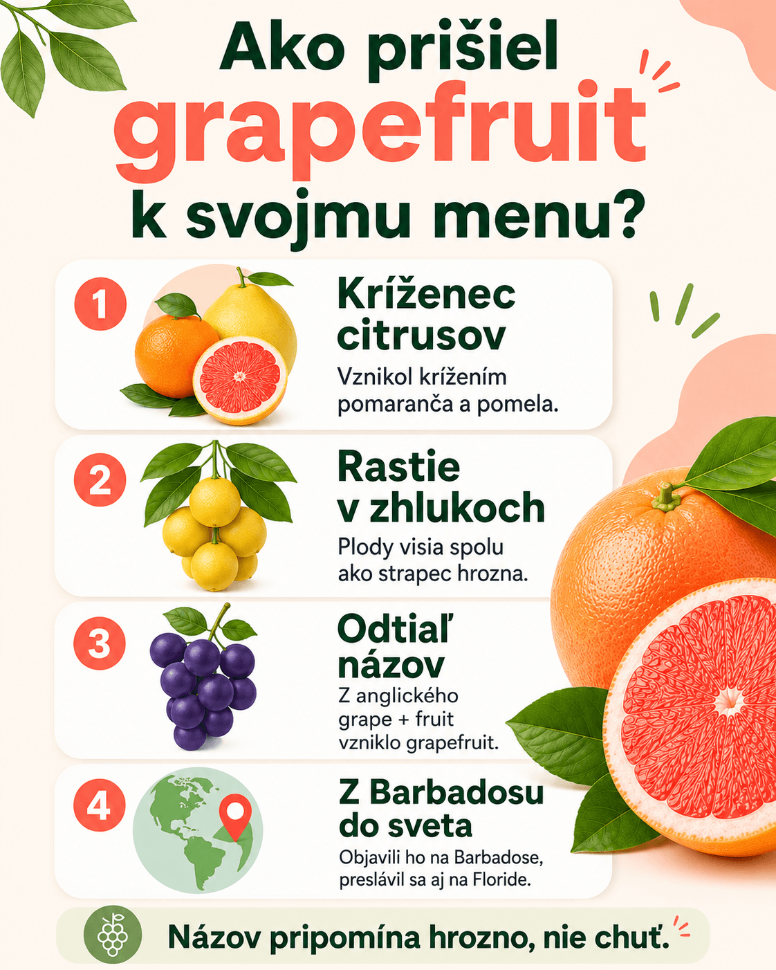 Grapefruit dostal svoj názov podľa spôsobu rastu – plody na strome často visia v zhlukoch, ktoré pripomínajú strapce hrozna.